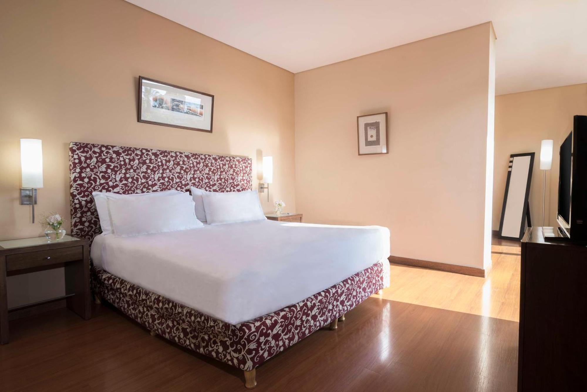 Отель Nh Mendoza Cordillera Экстерьер фото